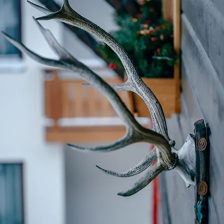 Apartment Haus Richard Falch