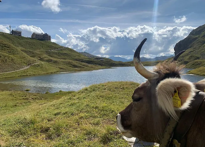 Chalet-apartment Haus Richard Falch Apartmán Sankt Anton am Arlberg