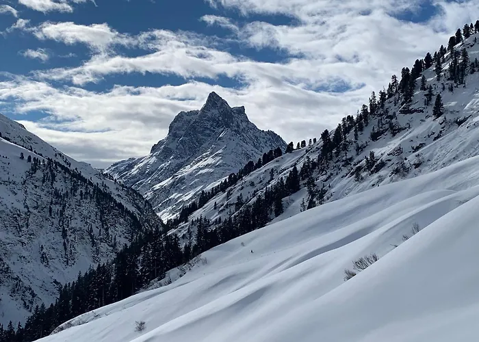 Chalet-apartment Haus Richard Falch Apartmán