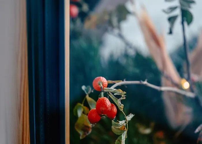 Chalet-apartment Haus Richard Falch Apartmán Sankt Anton am Arlberg