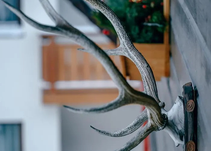 Apartmán Chalet-apartment Haus Richard Falch