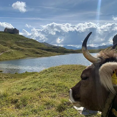 Haus Richard Falch Apartman Sankt Anton am Arlberg