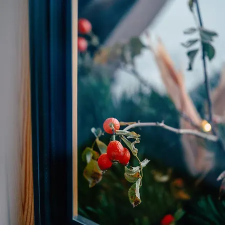 Haus Richard Falch Apartman Sankt Anton am Arlberg