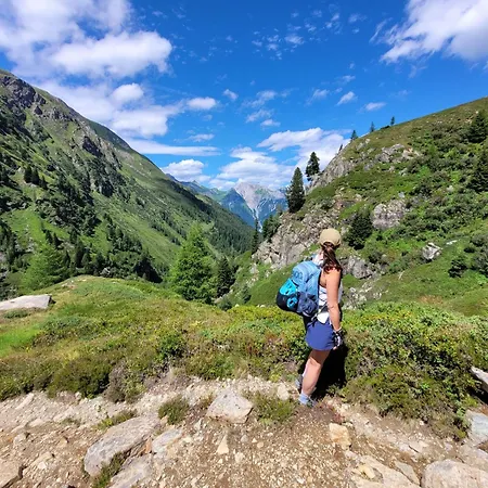 Haus Richard Falch Lejlighed *