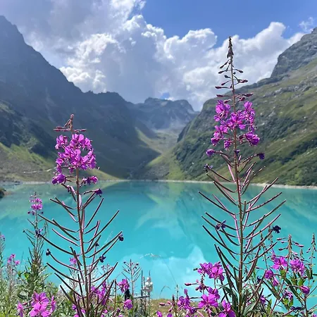 Lejlighed Haus Richard Falch